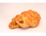 Ham Kaas Croissant