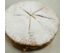 SNEEUWSTER 6-8 pers.