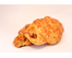 Ham Kaas Croissant