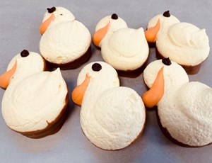 creme kuikens